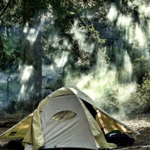 Séjour près du Puy du Fou : Campings bien placés