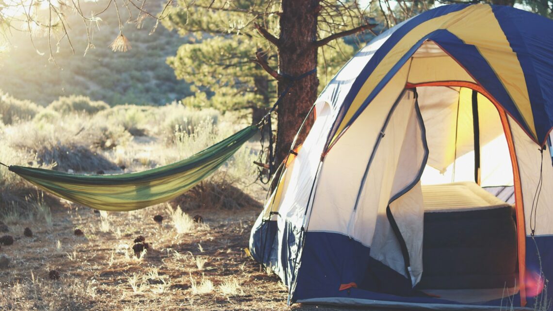 Où trouver les meilleurs endroits pour faire du camping en forêt ?