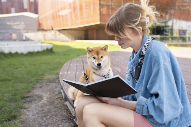 Le chien pour votre mode de vie