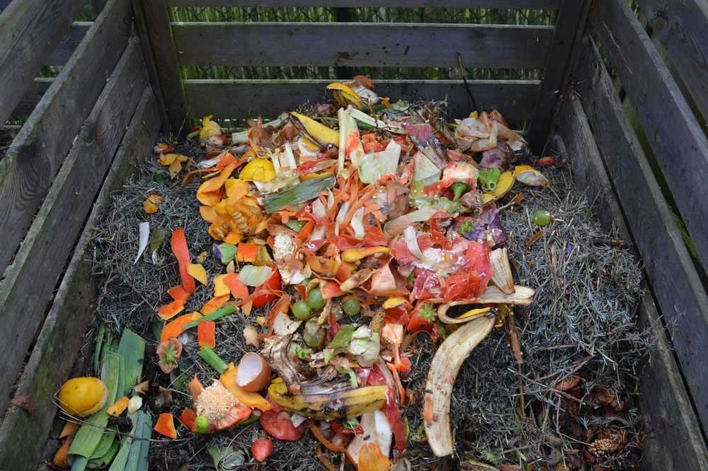 Vos déchets verts valent mieux que l'engrais du commerce