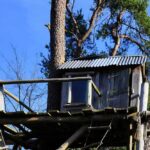 Une petite cabane en bois sur un arbre avec balcon et toit ondulé