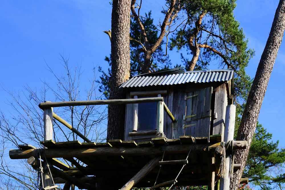 Une petite cabane en bois sur un arbre avec balcon et toit ondulé